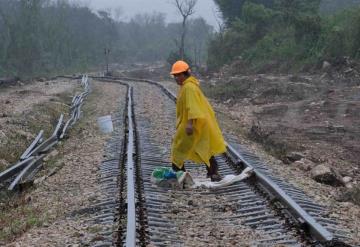 Cancela Fonatur licitación del Tren Maya