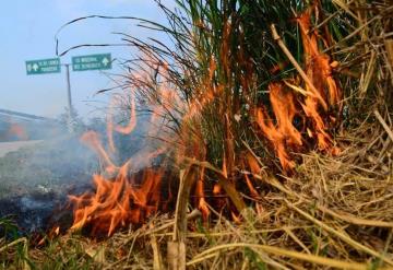 Reportan primeros incendios del 2021; La Sierra, zona más afectada