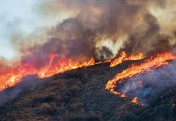 Activa Protección Civil protocolos preventivos para evitar incendios