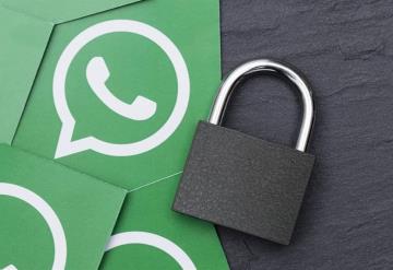 Nueva función que protegerá con contraseña las copias de seguridad: WhatsApp