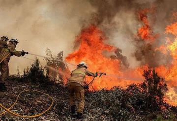 Múltiples incendios son registrados en la Sierra de Catorce