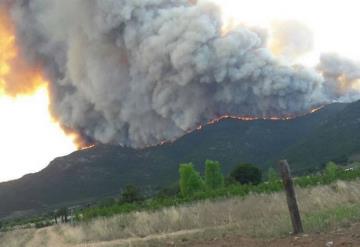 Fiscalía identifica propietarios de la cabaña donde se originó incendio: Sierra de Arteaga