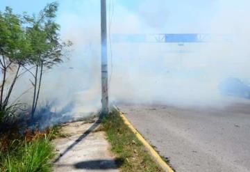 Sin resolverse la denuncia interpuesta por los constantes incendios en laguna “El Negro”