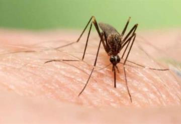 Un caso de Chikungunya en Tabasco 