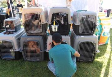 La Secretaría de Medio Ambiente en Coahuila inicio campaña para incrementar la adopción de animales