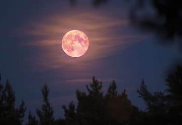 Te decimos cuando sucederá este fenómeno astronómicos la Superluna rosa y lluvia de estrellas Líridas