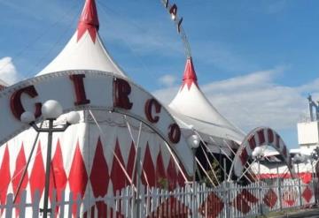 Proclama la Federation mondiale du Circo Día Mundial del Circo