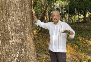 AMLO planteará a Biden dar visas a centroamericanos que trabajen en programa Sembrando vida