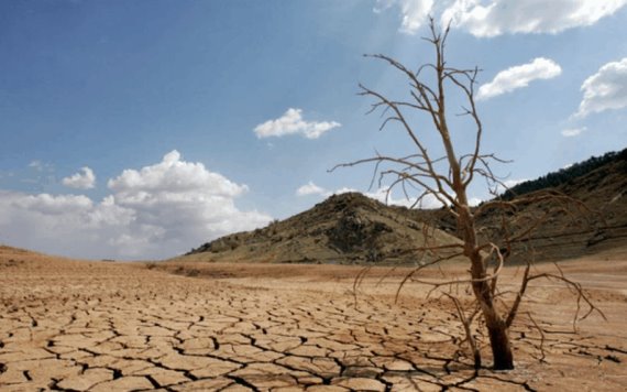 Sequía en México afecta a 84% del país y golpea al campo