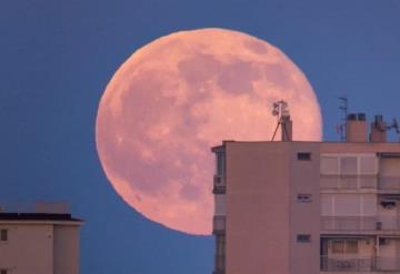 Así se vio la Luna rosa