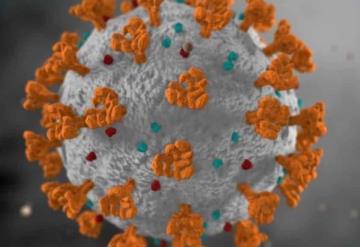 Esto es lo que se sabe de la nueva cepa de coronavirus en India