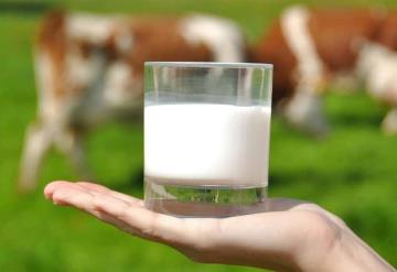 FAO declara Día Mundial de la Leche 2021 para incentivar consumo