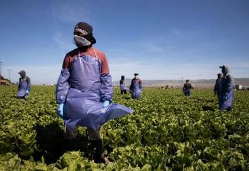 Así puedes tramitar tu visa H-2A de trabajo temporal agrícola