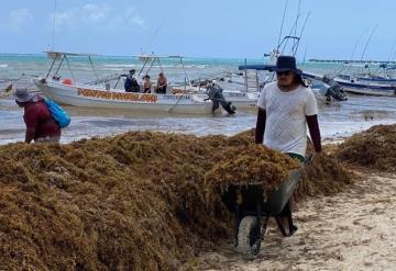 Playa del Carmen, una de las zonas más afectadas por el avance del sargazo