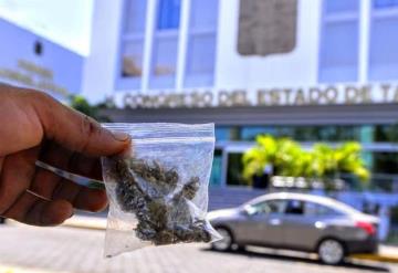 Tabasqueños podrían realizar aun más solicitudes para hacer uso de la mariguana: CANNATAB