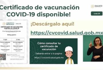 Certificado de Vacunación COVID-19: Así lo puedes descargar