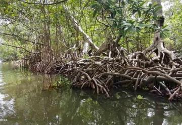 Mejoran economía en equilibrio ambiental