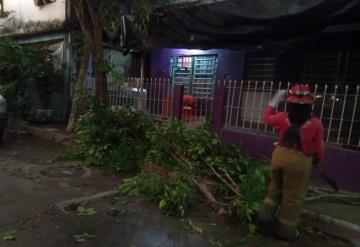 Pese a intensa lluvia hubo saldo blanco, reporta protección civil 