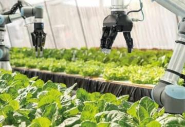 Agricultura 4.0 impulsará la eficiencia y productividad del sector en México