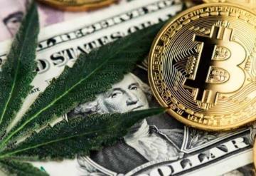 Sin bancos, las empresas de cannabis están recurriendo a las criptomonedas