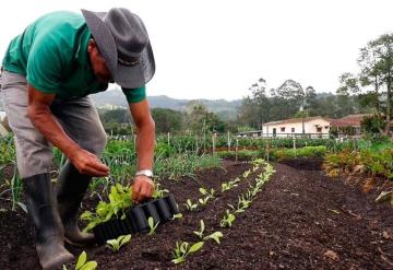 La agricultura y ganadería orgánica