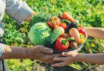 La naturaleza no cambia, pero sin embargo invariablemente cambia con el tiempo, la forma de mirarla