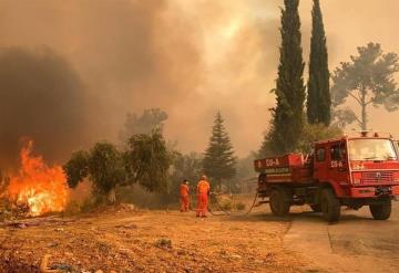 Turquía sufre decenas de incendios forestales