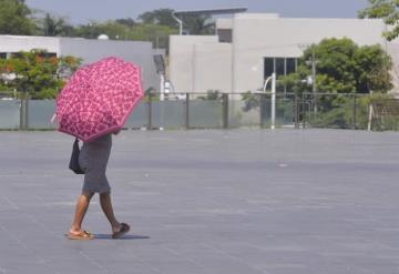 Periodo de canícula ‘ha sido leve’: IPCET