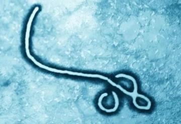 Primer caso de virus de Marburgo en África