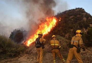 En medio de la ola de calor que se presenta en España, se hacen los primeros reportes de incendios forestales