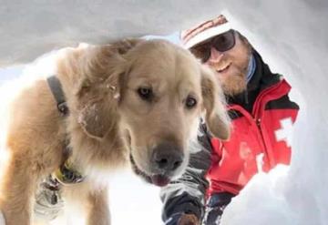 Hombre graba video de como un perrito lo rescata de la nieve