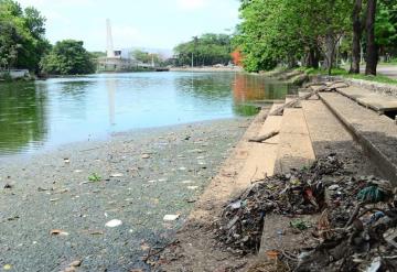 Más del 50% le han quitado a la laguna de ‘Las Ilusiones’; La han reducido a 160 hectáreas