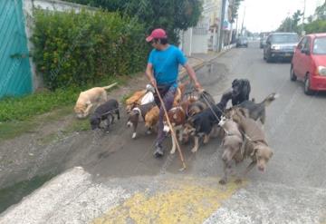 Santos Damián camina con dos docenas de perros que lleva atados a la cintura