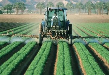 La agricultura orgánica debe ser practicada bajo un enfoque de gestión