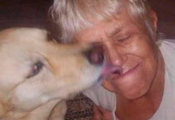 Mujer de 74 años salva a su perro arrojándose sobre un caimán