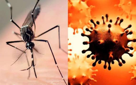 Alertan por posibles contagios de COVID y Dengue al mismo tiempo