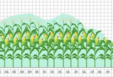 ´Sembrando Vida´ no es todo el campo mexicano; urge más recursos al sector agropecuario: PRI