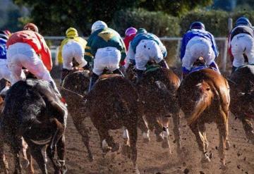 Adulto mayor muere al ser arrollado en carrera de caballos