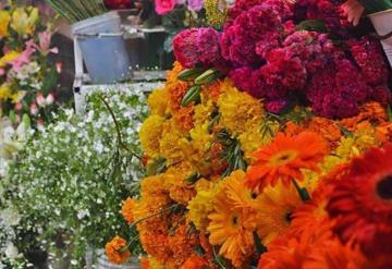 Vendedores de flores en Jonuta estiman repunte de ventas por celebración de muertos