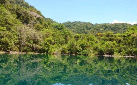 70% de los ríos y lagos en México están contaminados: SEMARNAT
