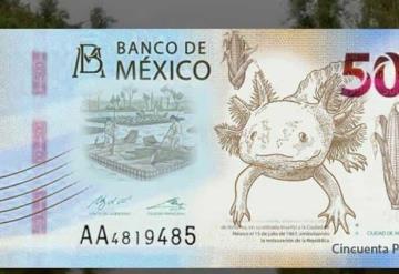 Alistan lanzamiento de nuevo billete de 50 pesos