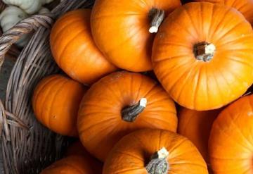 Prepara esta mantequilla casera con calabaza