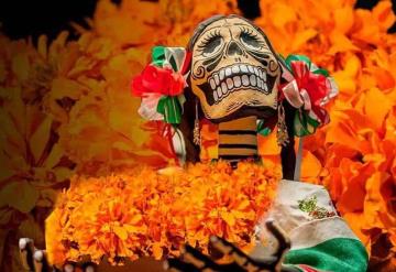 ¿Qué hacer con la flor de cempasúchil después de retirarla de la ofrenda del Día de Muertos?