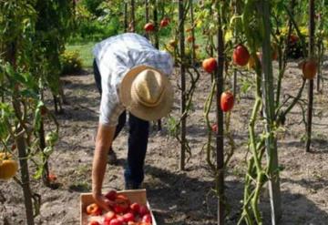 Otorgan préstamo de 30 millones de dólares a empresa de agricultura sostenible