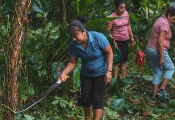 Reforestarán parque natural Villaluz en Tapijulapa