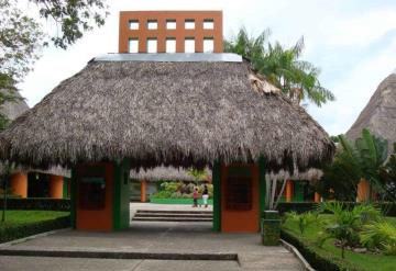 Yumká y parque museo La Venta reciben nuevas especies