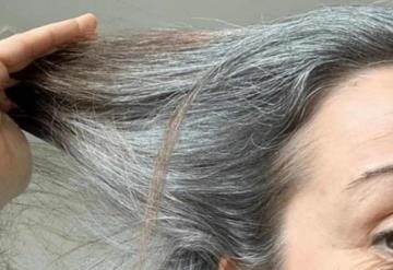 ¿Cómo usar la semilla de aguacate para teñir el cabello de manera natural?