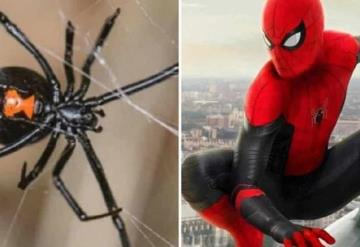 Niños hicieron que ‘viuda negra’ los pique para tener los poderes de Spider-Man