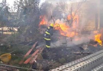 Incendio deja 30 perritos muertos en Durango