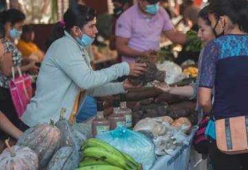 Inauguran en Tacotalpa tianguis campesino Del campo a tu mesa